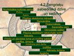 4.2.Sengrieku sabiedriska dzive un sadzive