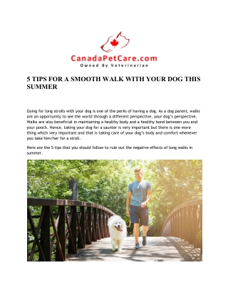 5 TIPS FOR A SMOOTH WALK WITH YOUR DOG THIS SUMMER