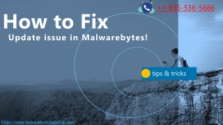 Malwarebytes Customer Support Phone Number 1-855-536-5666