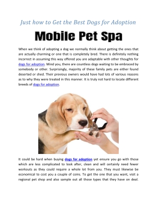 Dogs For Adoption near me Archives · Mobile Pet Spa