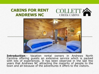 Cabins for Rent Andrews NC