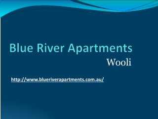 Holiday Apartment Accommodation Wooli NSW