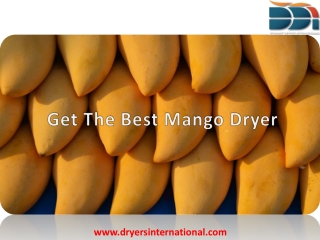 Get The Best Mango Dryer