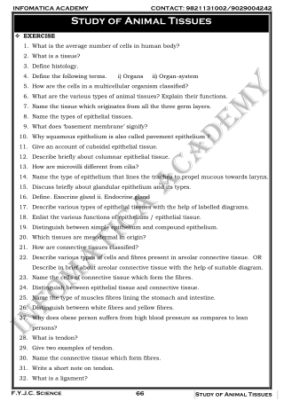 Study of Animal Tissues