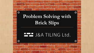 Problem Solving with Brick Slips