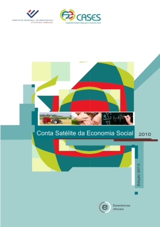 Conta satelite economia social 2013