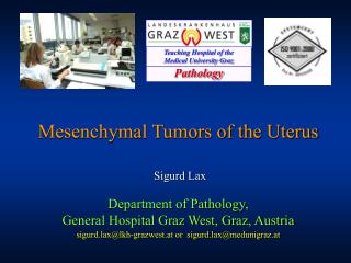 Mesenchymal Tumors of the Uterus