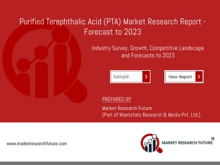 Purified Terephthalic Acid (PTA) Market | Research Insights, Business Outlook, Company Profiles, Trends and Forecast 201
