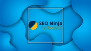 Free Reverse IP Domain Checker | SEO Ninja Softwares