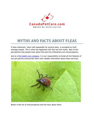 MYTHS AND FACTS ABOUT FLEAS