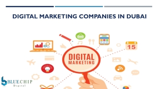 Digital Marketing Companies in Dubai