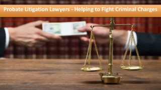 Probate Litigation Lawyers - Helping to Fight Criminal Charges