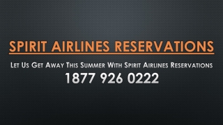 Let Us Get Away This Summer With Spirit Airlines Reservations