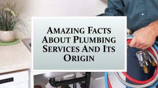 Amazing Facts About Plumbing Services And Its Origin