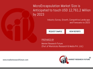 MicroEncapsulation Market Overview by Industry Trends, Sales and Supply Chain Report