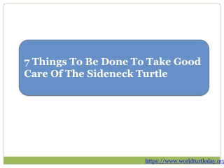 7 Things To Be Done To Take Good Care Of The Sideneck Turtle