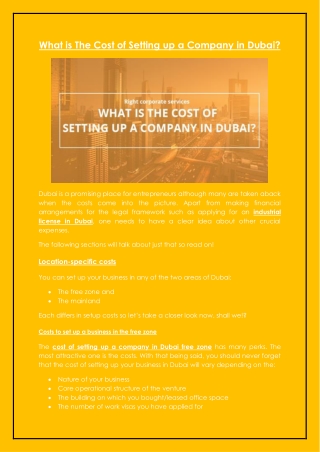 What is The Cost of Setting up a Company in Dubai?