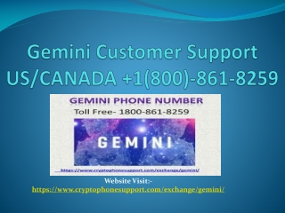 Gemini Support number Gemini image error