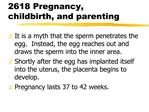 2618 Pregnancy, childbirth, and parenting