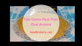 Get Canola Meal at the Wholesale Price