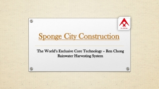 Sponge City Construction