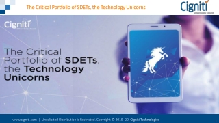 The Critical Portfolio of SDETs, the Technology Unicorns