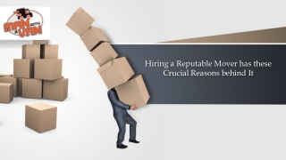 Hiring a Reputable Mover has these Crucial Reasons behind It