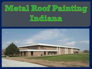 Metal Roof Painting Indiana