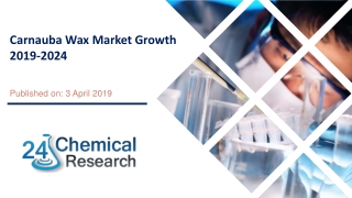 Carnauba Wax Market Growth 2019 2024