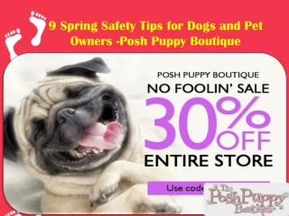 9 Spring Safety Tips for Dogs and Pet Owners -Posh Puppy Boutique