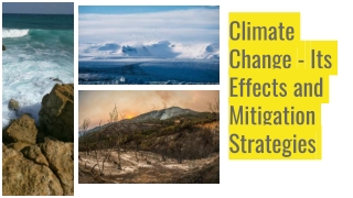 Climate Change - Its Effects and Mitigation Strategies