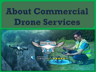 About Commercial Drone Services