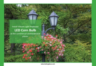 LED Corn Bulbs: Benefits of Installing at Commercial Places