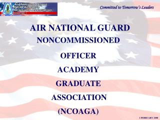AIR NATIONAL GUARD