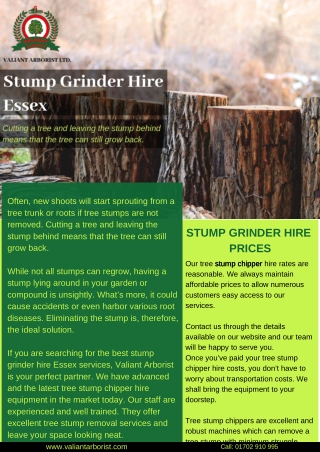 Stump Grinder Hire Services in Essex