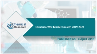 Carnauba Wax Market Growth 2019-2024