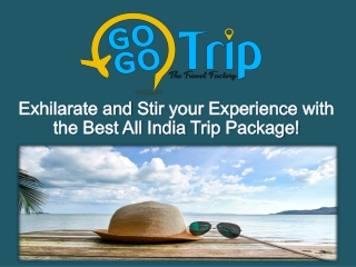 Exhilarate and stir your experience with the best All India trip Package!