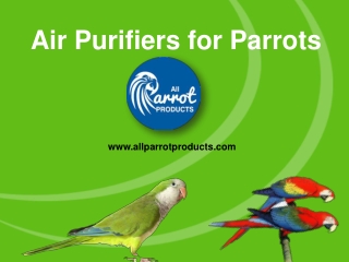 Air Purifiers for Parrots