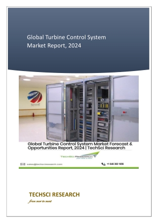 Global Turbine Control System Market Report | Size, Share and Growth Analysis, 2019-2024