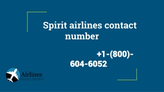 spirit airlines contact number