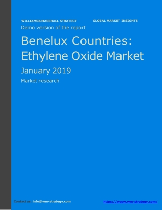 WMStrategy Demo Benelux Countries Ethylene Oxide Market January 2019