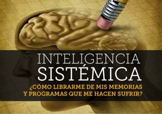 ¿Para qué asistir a un taller de Inteligencia Sistémica?