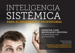 Curso de Inteligencia Sistémica para el Desarrollo Profesional. Disfrutar, fluir, ser eficaces y efectivos.