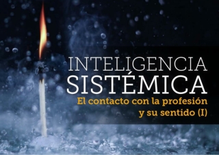 Inteligencia Sistémica. ¿Tiene sentido mi profesión?