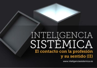 ¿Tiene sentido mi profesión? Inteligencia Sistémica para el desarrollo profesional.