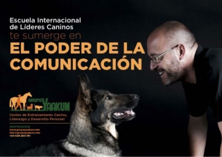 Anímate a descubrir el Poder de la Comunicación. Curso de Liderazgo Canino.