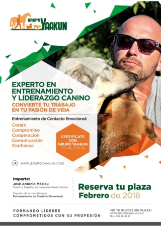 Curso Adiestrador Canino Profesional (Experto en Modificación de Conducta).