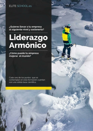 Formación en Liderazgo Armónico. ¿Quieres llevar a tu empresa al siguiente nivel y sostenerlo?