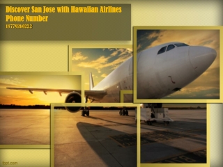 Discover San Jose with Hawaiian Airlines Phone Number