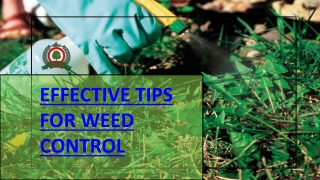 10 EFFECTIVE TIPS FOR WEED CONTROL